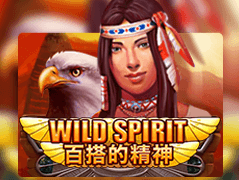 Wild Spirit game screenshot